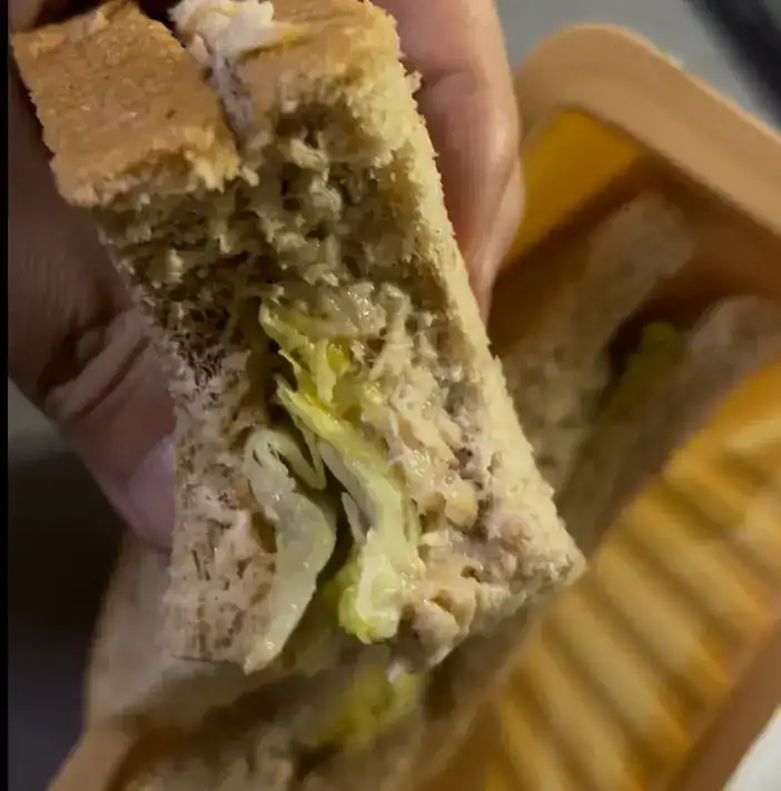 Remaining piece of the sandwich showing the bread and chicken ratio